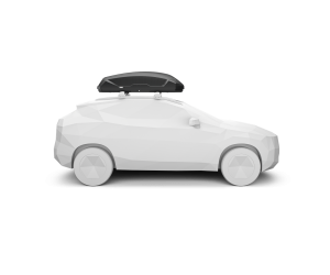 Thule Pulse 2 M