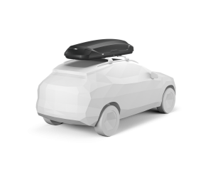 Thule Pulse 2 L