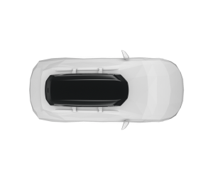 Thule Pulse 2 L