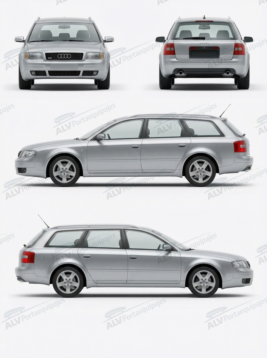 Audi A6 Allroad (C5 - railing) (2000-->2006)