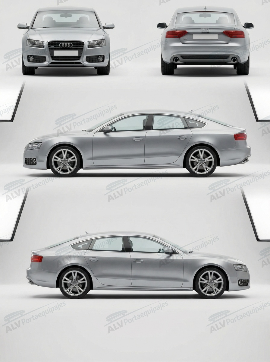 Audi A5 5p Sportback (8TA - techo normal) (2009-->2016)