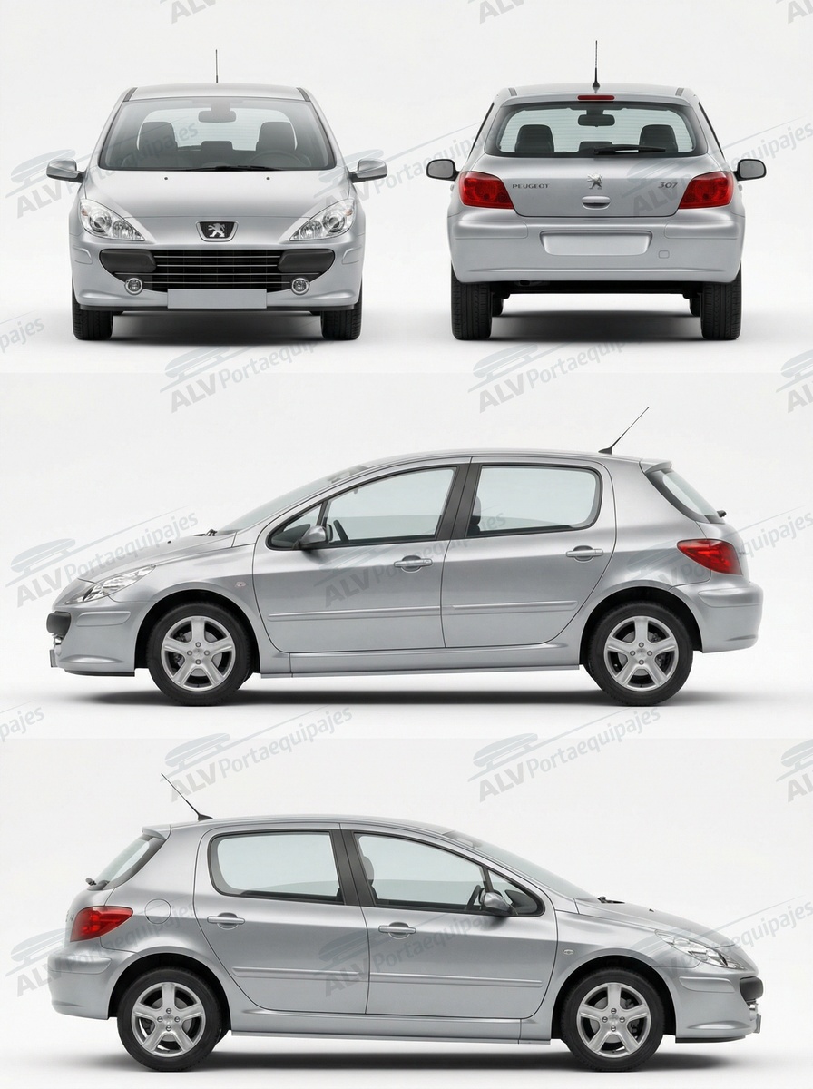 Peugeot 307 5p (fixpoint) (2001-->2008)