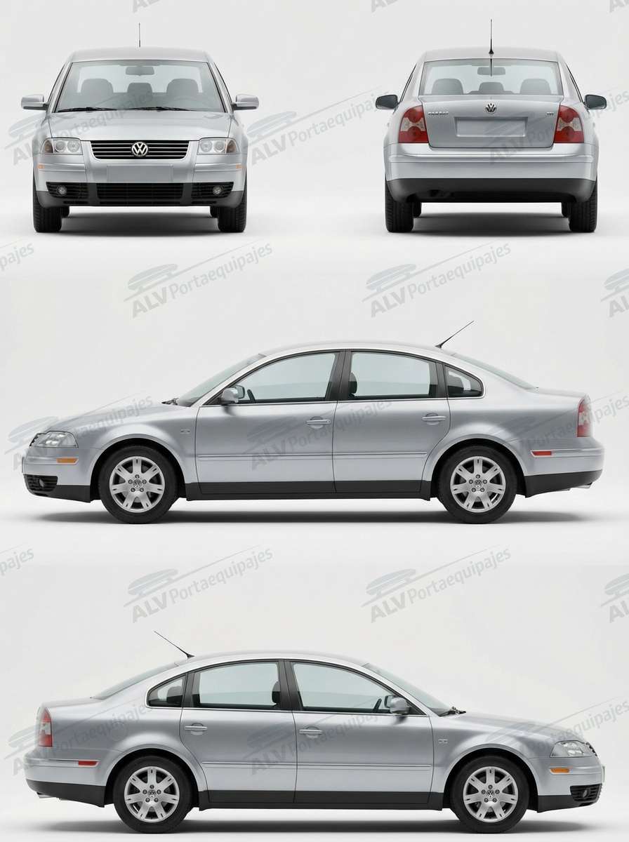 Volkswagen Passat sed&aacute;n 4p (B5.5/3BG - techo normal) (2001-->2005)