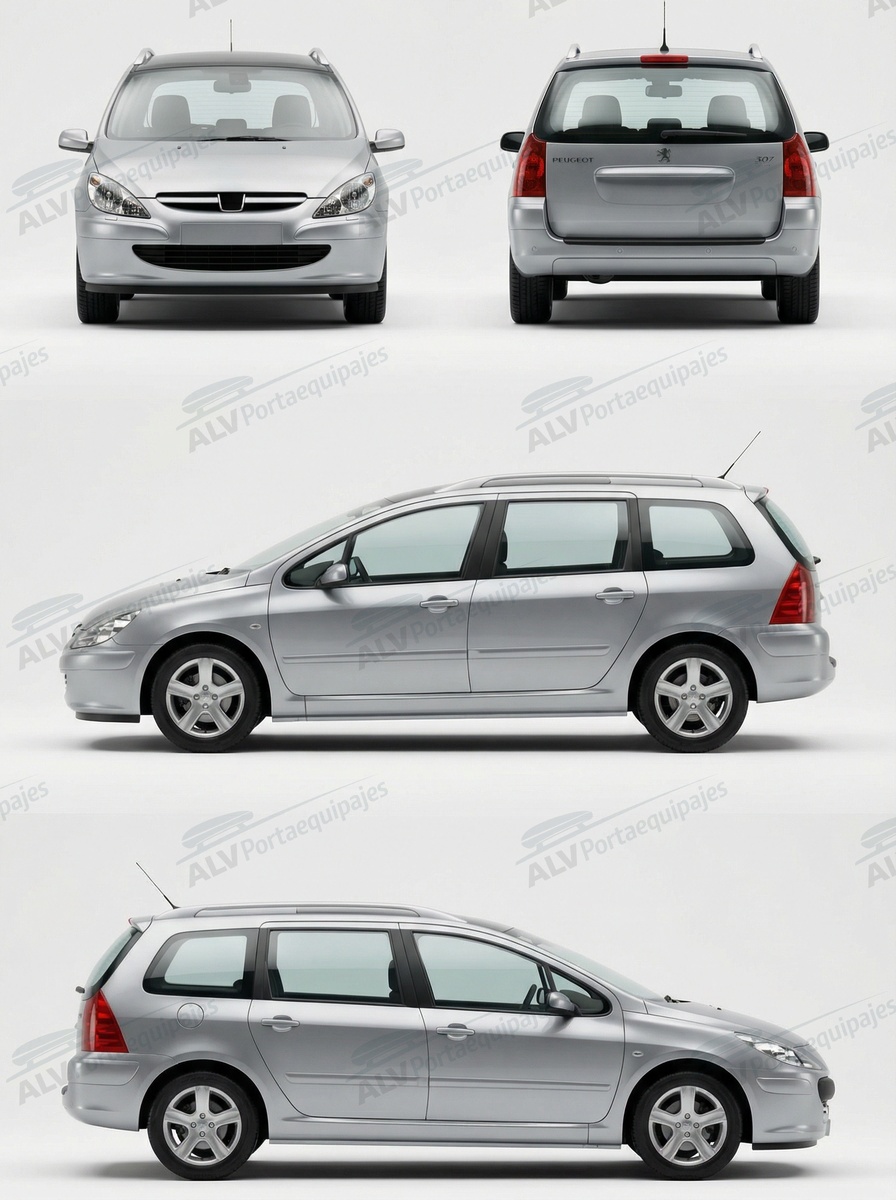 Peugeot 307 SW (railing) (2001-->2008)
