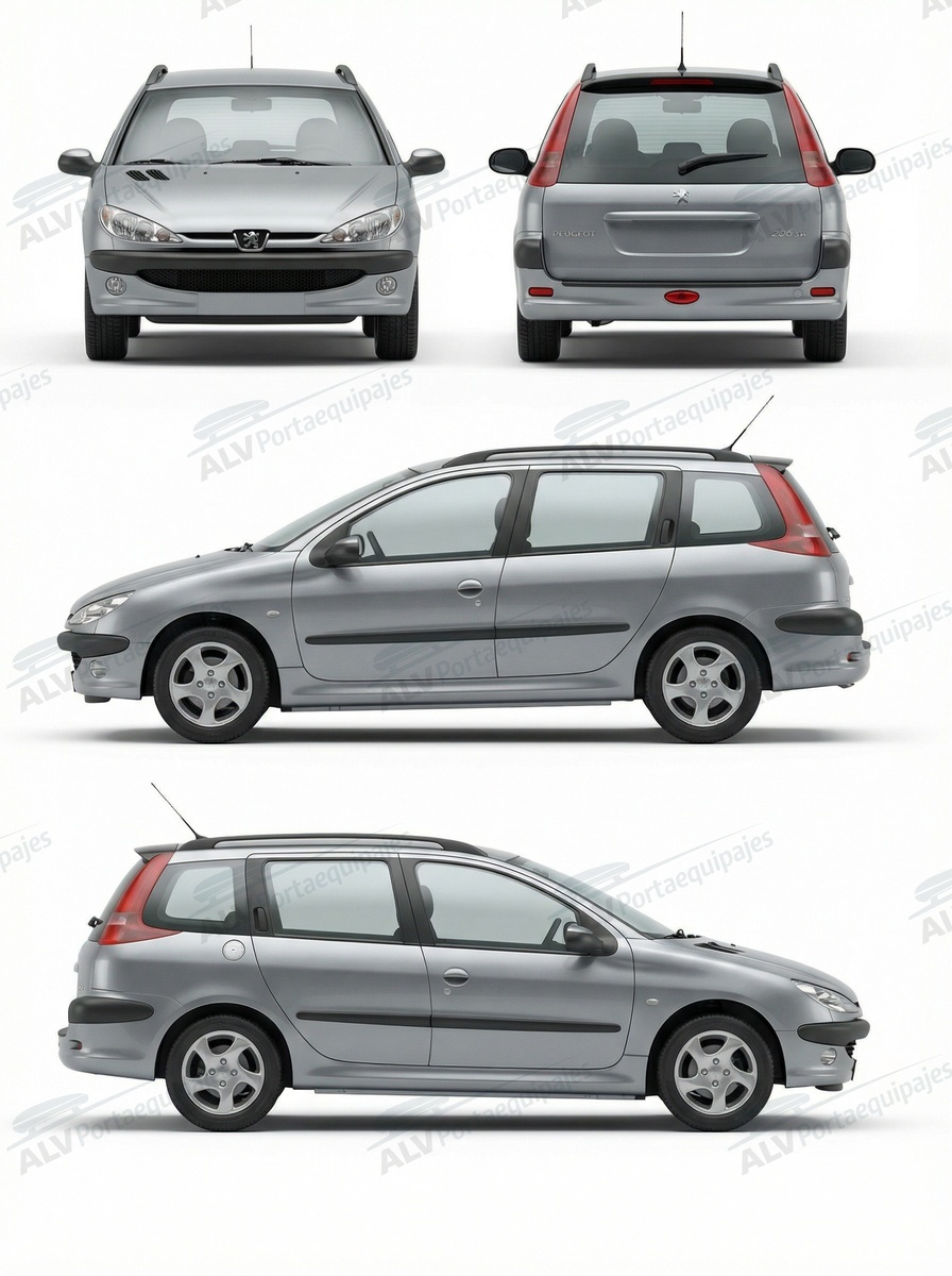 Peugeot 206 SW (railing) (2002-->2008)