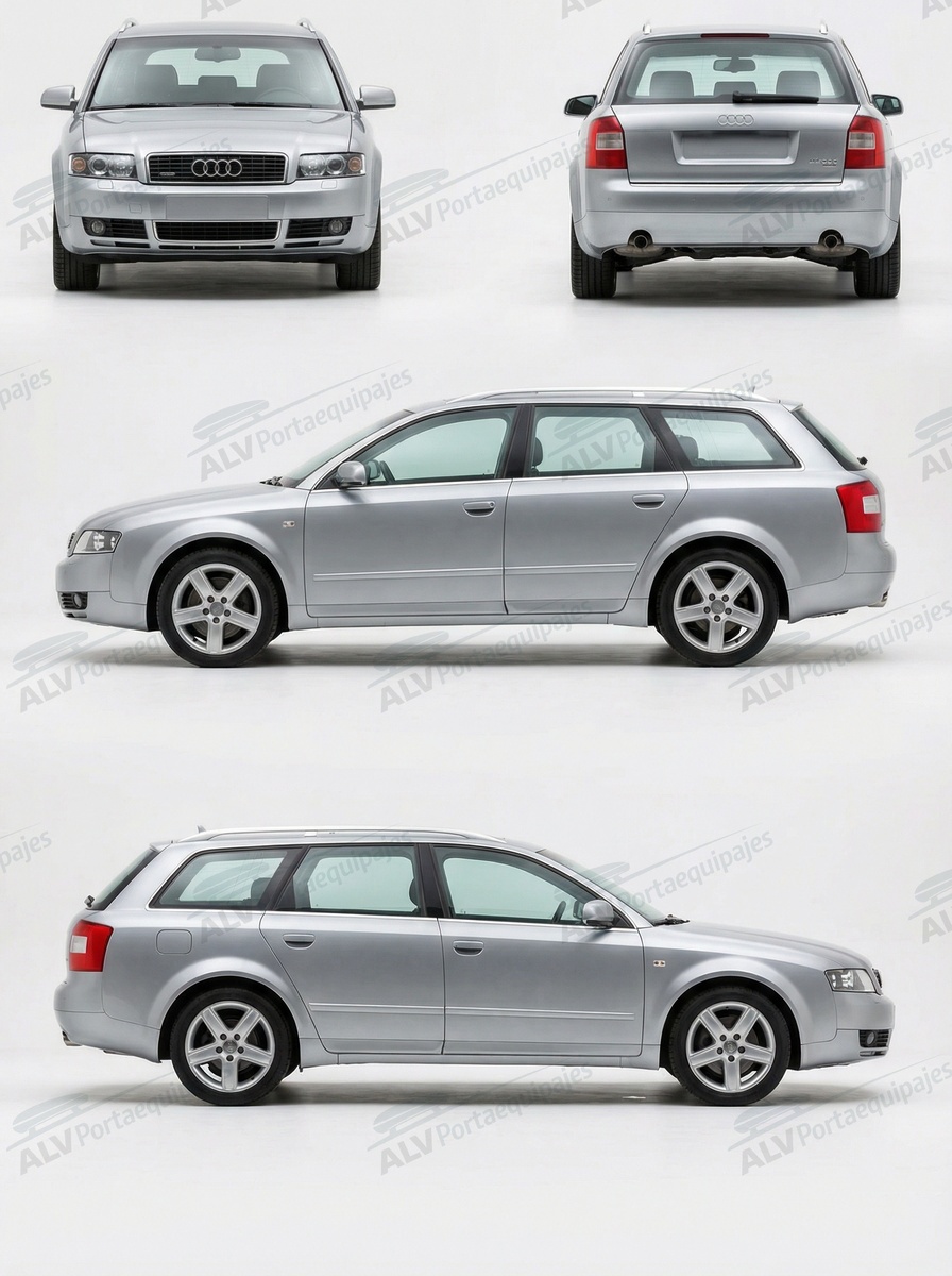 Audi A4 Avant (B6 - railing) (2001-->2005)