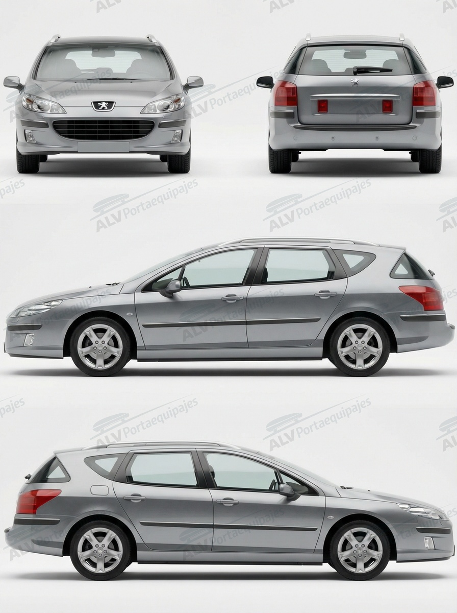 Peugeot 407 SW (railing) (2004-->2010)