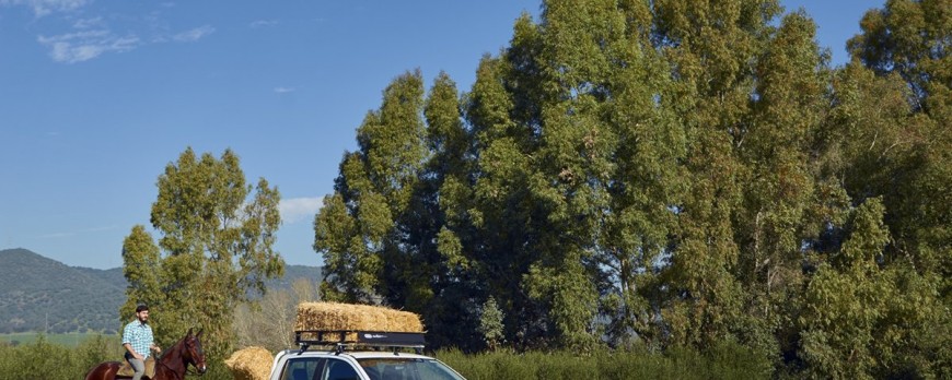 CRUZ Safari A-126: el módulo portaequipajes definitivo para vehículos 4x4